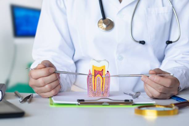 Best Chipped Tooth Repair Near Me  in Velva, ND